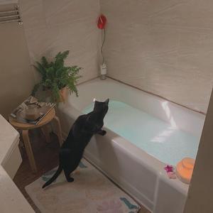 女警少妇被献身av麻豆
